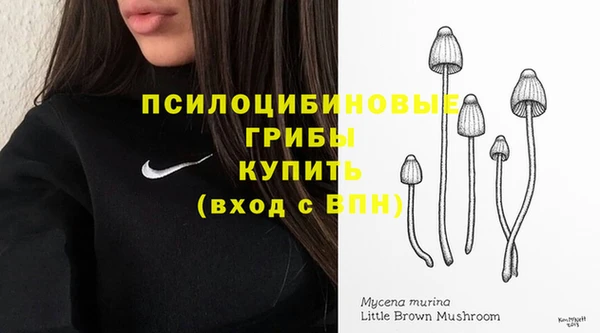 МДПВ Лиски