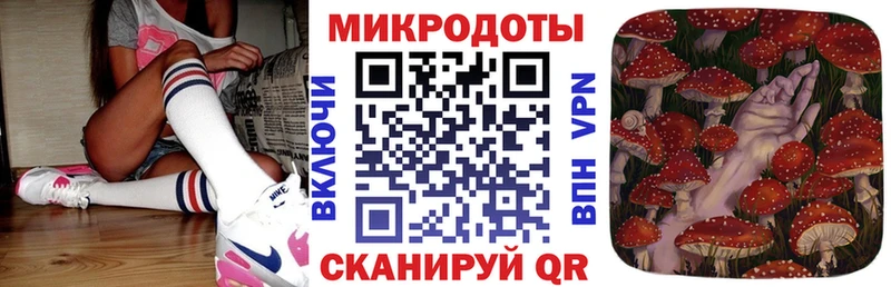 Галлюциногенные грибы мицелий  купить наркотик  Щигры 